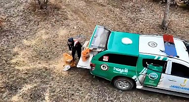 Jandarma, yaban hayvanları için doğaya yem bıraktı