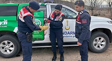 Jandarma, yaralı baykuşa elleriyle su verdi