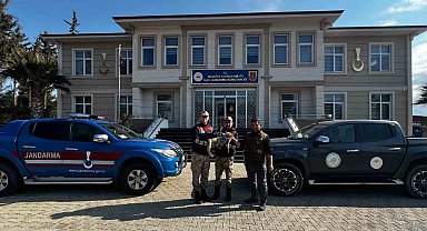 Jandarmadan yaralı tilkiye şefkat eli