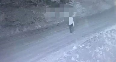 Jandarmanın fotokapanı organize suç örgütünü böyle kaptı