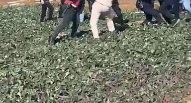 Kaçak yapı yıkımında ortalık karıştı: 2 zabıta yaralandı