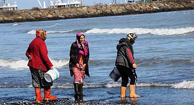 Kadın balıkçılar, gemi başına verilecek desteklemeden yüzde 35 daha fazlasını alacak