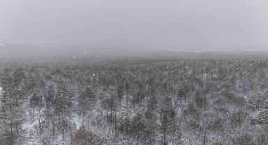 Kar yağışı, Türkiye ile Bulgaristan sınırında kartpostallık görüntüler oluşturdu