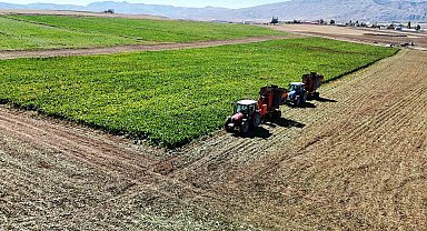 Kar yağışları bu sene çiftçinin yüzünü güldürecek