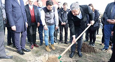 Karabük'te sumak fidanları toprakla buluşturuldu