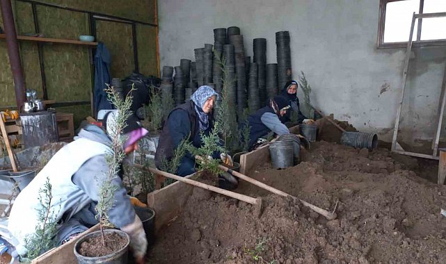 Karacabey Belediyesi'nden doğaya saygılı estetik çalışmalar