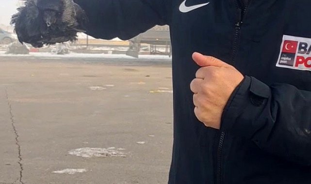 Karga soğuktan dondu