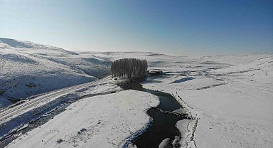 Kars Çayı'nda mest edici kış manzarası