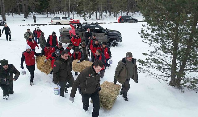 Kastamonu'da yaban hayvanları için doğaya yem ve yiyecek bırakıldı