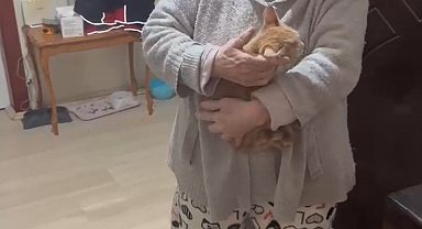 Kayseri'de bacada sıkışan kedi enkaz altı görüntüleme cihazı ile kurtarıldı