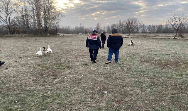 Kaz dövüşü yaptıran 7 şahsa suçüstü baskın: 72 bin lira ceza uygulandı