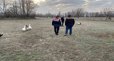 Kaz dövüşü yaptıran 7 şahsa suçüstü baskın: 72 bin lira ceza uygulandı