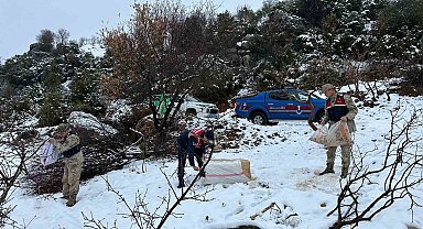 Kilis Jandarma ekipleri yaban hayvanlarını unutmadı