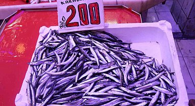 Kilosu 100 liradan satılan istavrit, hamsiyi geride bıraktı