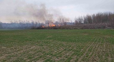 Kırklareli'nde otluk alanda yangın: 200 dekar alan zarar gördü