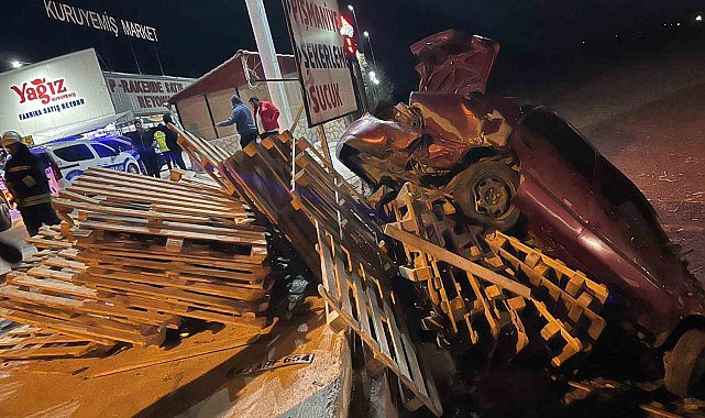 Kontrolden çıkan otomobilin sürücüsü yaralandı