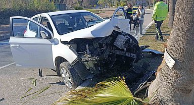 Kontrolden çıkıp palmiye ağacına çarptı, otomobilin plakası ağaca yapıştı