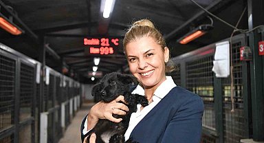 Konyaaltı'nda minik patilere sıcak yuva