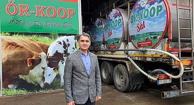 Kooperatif başkanına 'tarihi eser' gözaltısı iddiası