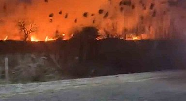 Köyceğiz'de sazlık yangını başladı