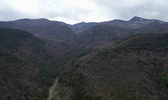 Küreklidere Orman Parkı, 2025 yılında hizmete açılacak