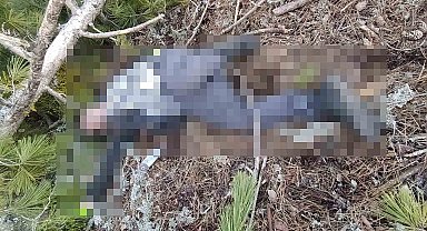 Kütahya'da kestiği ağacın altında kalan işçi hayatını kaybetti