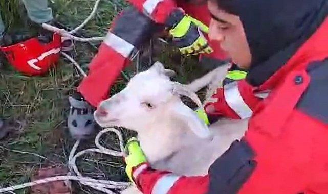 Kuyuya düşen keçiyi itfaiye ekipleri kurtardı