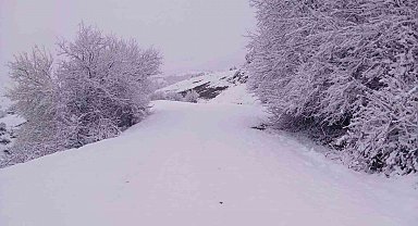 Laçin'de kar yağışı dolayısıyla okullar tatil edildi