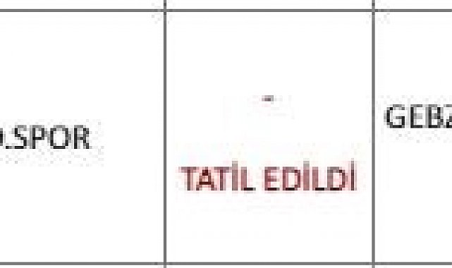 Maçta 11 oyuncu atıldı, hakem tatil kararı verdi