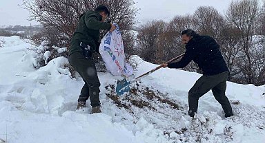 Malatya'da yaban hayvanları için yemleme çalışması