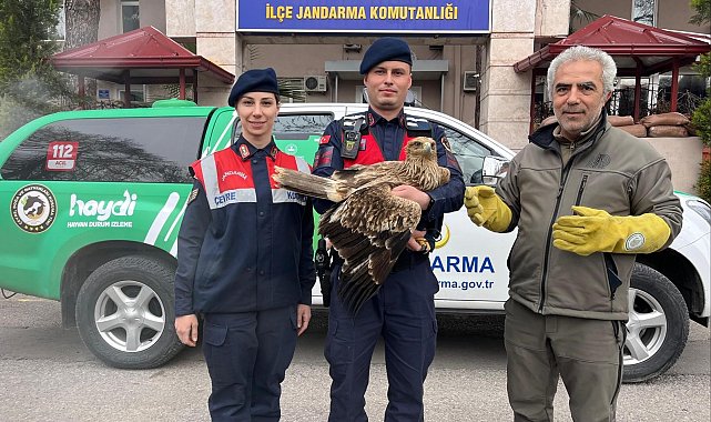 Manisa jandarma Kızıl Şahin'e sahip çıktı