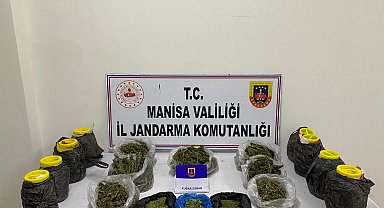 Manisa'da jandarmadan esrar operasyonu