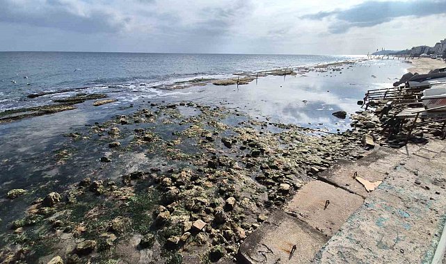 Marmara Denizi 10 metre çekildi, Kral Yolu ortaya çıktı