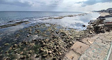 Marmara Denizi 10 metre çekildi, Kral Yolu ortaya çıktı