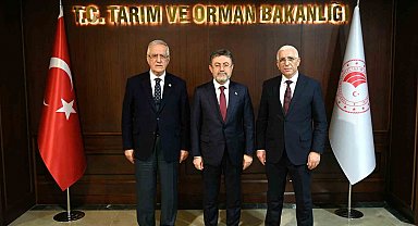 Marmarabirlik Yönetim Kurulu Başkanı Hidamet Asa: