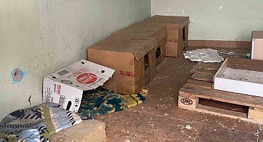 Metruk binadaki kedi evleri ilgi odağı oldu