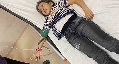 Müdür Yardımcısının bahçede beslediği köpekler 9 yaşındaki öğrenciyi ısırdı