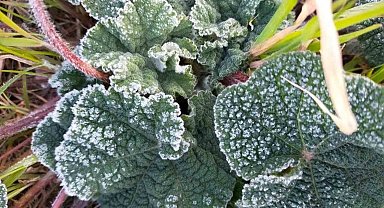 Muğla'ya soğuk ve kar uyarısı