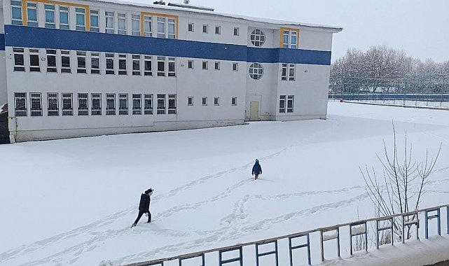 Muradiye'de kar yağışı: 15 yerleşim yerinin yolu kapandı