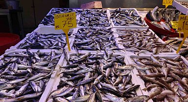 Mutlu'dan av yasağı uzatılsın çağrısı