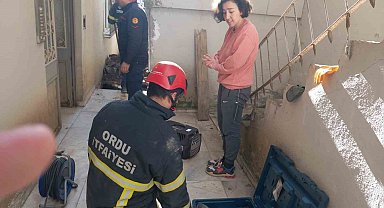 Ordu'da evcil kedi, sokak köpeklerinden kaçarken sıkıştığı yerden kurtarıldı