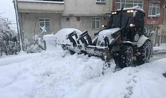 Ordu'da kar yağışı hayatı olumsuz etkiliyor