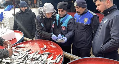 Osmaneli balık pazarında denetim
