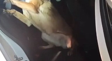 Otomobilin direğine zulalanmış uyuşturucuyla yakalanan 3 sanığa ceza yağdı