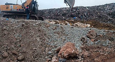 Pestisit kimyasal maddesi tespit edilen 55 ton limon imha edildi