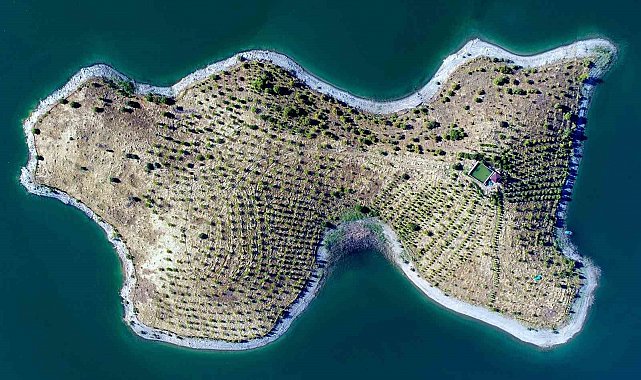 "Robinson Crusoe" Ziya dede hastalandı, adaya belediye başkanı sahip çıktı