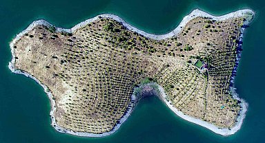 "Robinson Crusoe" Ziya dede hastalandı, adaya belediye başkanı sahip çıktı