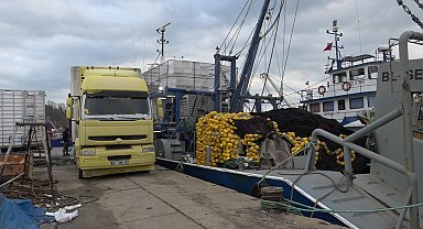 Rotalar İğneada'ya çevrildi: Kasa kasa hamsi tutuldu