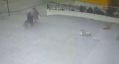 Sahipsiz köpeğin yaşlı kadına saldırdığı anlar kamerada