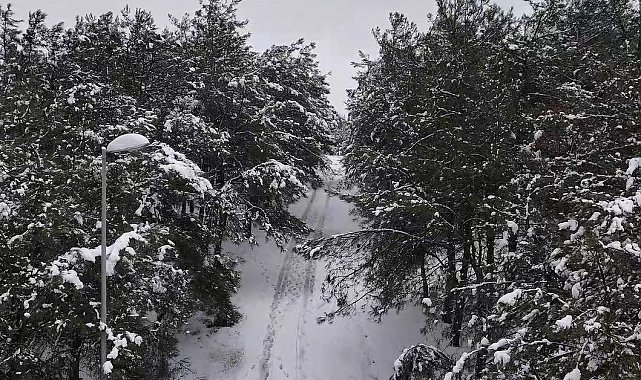 Şamlar Tabiat Parkı'nda oluşan kartpostallık görüntü havadan görüntülendi